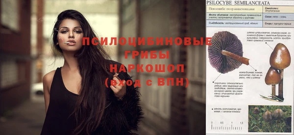 круглые Алексеевка