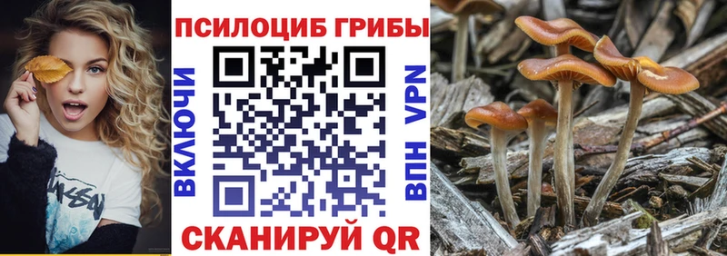 Галлюциногенные грибы Magic Shrooms  закладки  Южно-Сахалинск 